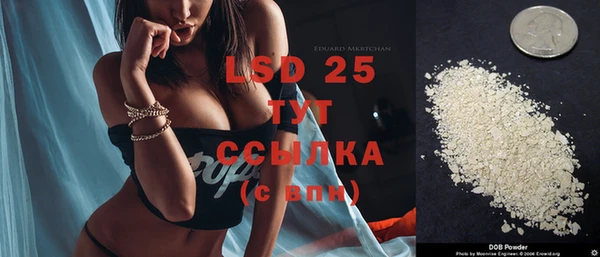 прущие грибы Мегион
