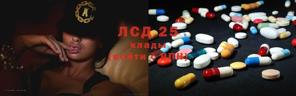 прущие грибы Мегион