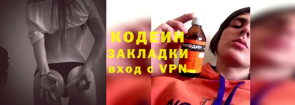 прущие грибы Мегион