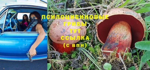прущие грибы Мегион
