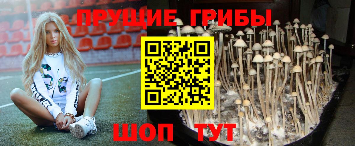 Псилоцибиновые грибы ЛСД Орск