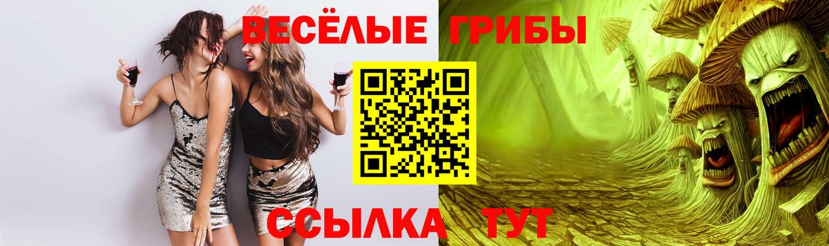Псилоцибиновые грибы MAGIC MUSHROOMS  Галлюциногенные грибы Psilocybine cubensis  Орск  Вход с VPN 